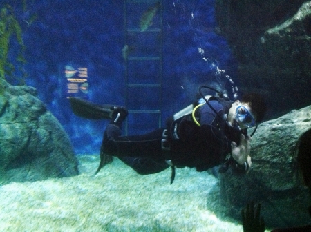 Diver moving underwater at siam ocean world in bangkok Thailand の素材