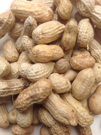 Peanutsの素材