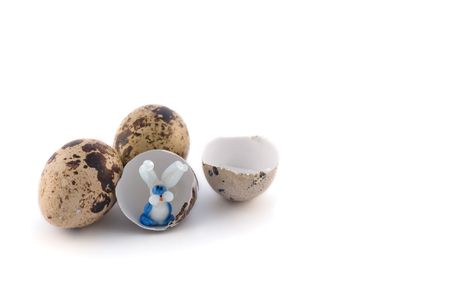 Quail eggs with  bunny