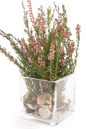 forest herbs in a glass vaseの写真素材