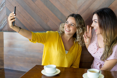 Joyful young women posing for selfie in cafe. Two attractive female friends smiling to make perfect photo together. Technology conceptの写真素材