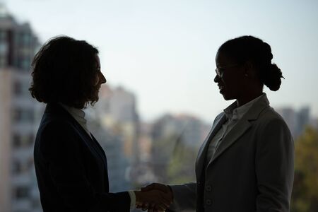 Happy business leader greeting young employee. Business women standing against panoramic office...