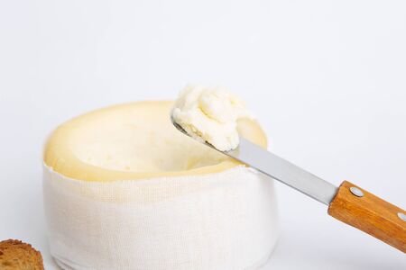Creamy cheese spread on knife. Close-up of round soft cheese isolated. Dairy product concept