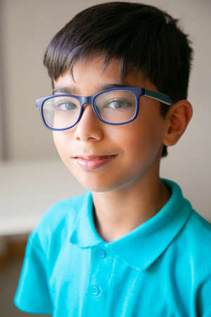 Portrait of content Asian little boy in glasses. Lovely attractive kid posing in classroom after lesson, smiling and looking at camera. Front view. People, study and appearance conceptの写真素材