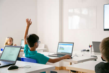 Mixed-race boy in glasses rising hand for answer during lesson. Back view of kid sitting at table with laptop computer and studying at school. Childhood, knowledge and digital education conceptの写真素材