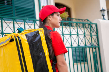 Confident Latin courier delivering order and looking away. Professional young beautiful...