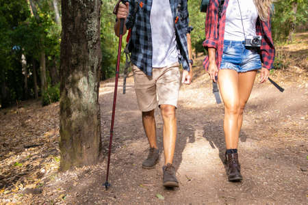 Front view of travelers hiking on road in forest. Unrecognizable man and woman walking on nature. Cropped people trekking with backpacks and stick. Tourism, adventure and summer vacation conceptの写真素材