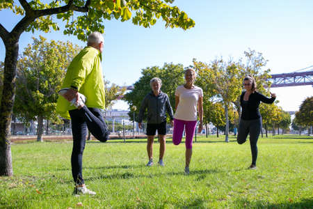 Group of retired active mature people wearing sports clothes, doing morning exercise on park grass....
