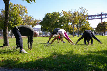 Retired active mature people wearing sports clothes, doing morning exercise on park grass,...