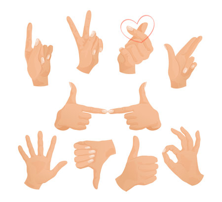 Hand gestures of Caucasian person vector illustrations set. Collection of drawings of character doing peace sign, OK gesture, giving thumbs up and down. Communication, gestures, sign language conceptのイラスト素材