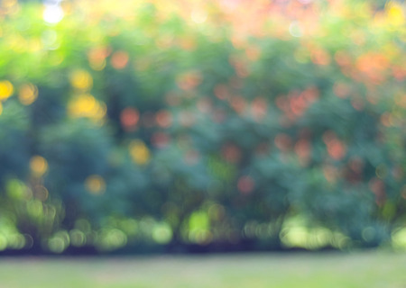 Blurred park with bokeh lightの写真素材