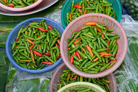 Green and red chili papers in baskets, Thai spicy, herb, top viewの写真素材
