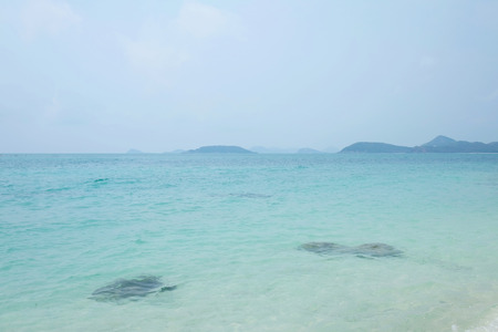 Sea and blue sky background, summer, natural landscape