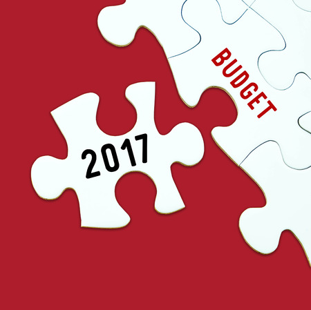 2017 budget word on jigsaw puzzle background, business concept