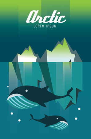 Whale and iceberg. Arctic Aurora nature. flat design elements. vector illustrationのイラスト素材
