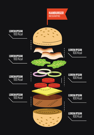 Hamburger ingredient and Calorie info graphics. flat thin line design elements. vector illustrationのイラスト素材
