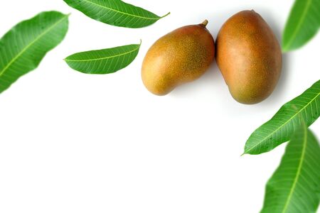 Mango fruit with leaf isolated white backgroundの写真素材