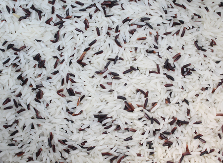 White rice mixed with rice berryの写真素材