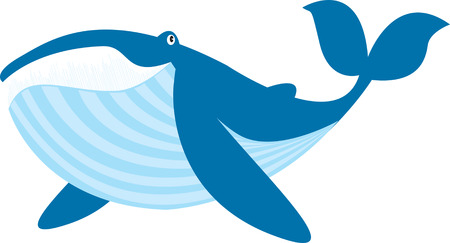 blue whale vector illustration isolated on whiteのイラスト素材