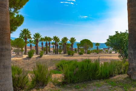 The characteristic summer nature of one of the subtropical Mediterranean countries. Photos from places of summer recreation and travel.の写真素材