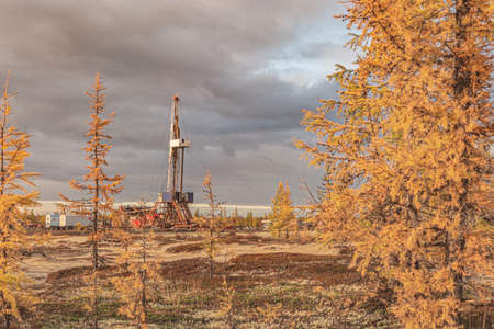 Metallic yellow bull and bear figures on the background of stock price charts. Exchange trade symbols. The concept of the struggle between buyers and sellers in the currency and securities marketの写真素材