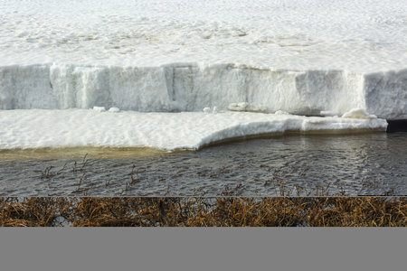 In spring, the tundra is freed from snow cover and ice. Climate changes in the Arctic zone. Melting of snow and ice, streams and rivers. Vegetation of the Northern Tundraの写真素材