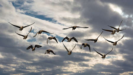 Infrastructure and equipment for drilling wells and oil and gas production. In the background there is a beautiful sky in the rays of the setting sunの写真素材
