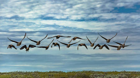 The spring landscape of the Arctic tundra against the background of infrastructure for drilling...