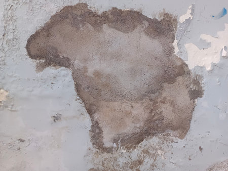 The peeling walls form a textureの写真素材