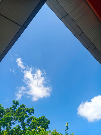 White clouds are visible among the trees and rooftops of buildings against a blue sky backdropの写真素材
