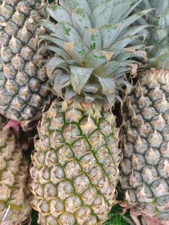 A pile of fresh pineapples originally from Indonesia, and has a sweet taste
