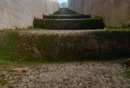 Concrete stairs covered in thick green moss flanked by two concrete walls