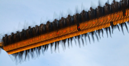 The blurred motion of the riders on the high-speed thrill ride creates streaky shadows on the legs of riders and bodies.の写真素材