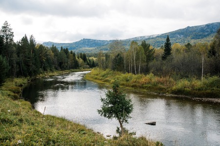 Autumn landscape with river, mountains and pine forestの写真素材