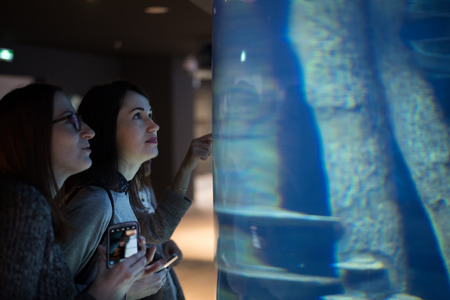 Two young women standing at the big aquarium with a smartphone. Horizontal outdoors shot. の写真素材
