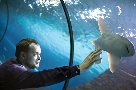 Horizontal indoors shot of man touching tank while watching shark in oceanarium.の写真素材