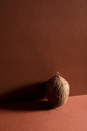 One whole coconut on brown background. Still lifeの写真素材
