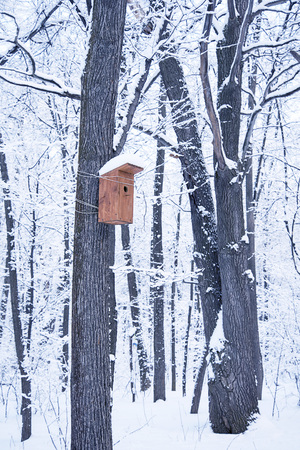 Wooden birdhouse attached to a tree in winter Parkの写真素材
