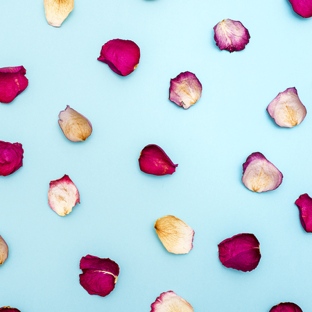 Rose petals on blue background . The view from the top. Flat layの写真素材