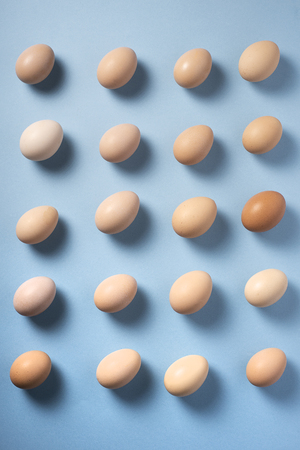 Brown eggs set in a straight line on a blue background. Top viewの写真素材