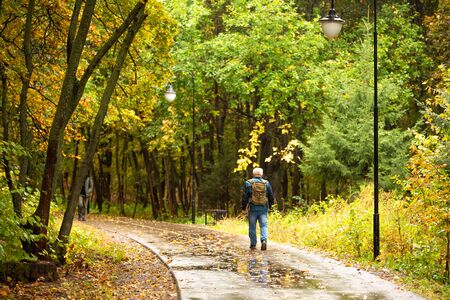 City park with walking people in autumn dayの写真素材