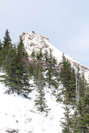 Winter landscape. Winter mountain. Winter holidays. Ural mountain.