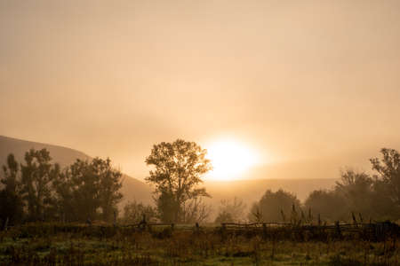 Foggy morning in the village. Village fences, trees and hills. Summer.の写真素材