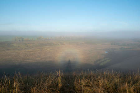 Rare optical phenomenon Gloria on a foggy morning.