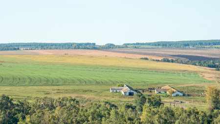 Large agriculture fields located near farm buildings on sunny day in countrysideの写真素材