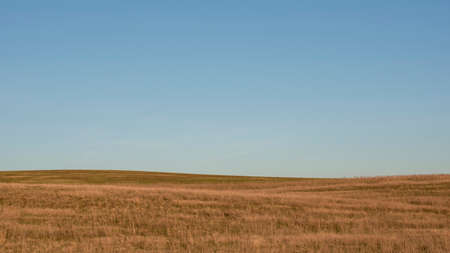 Spring landscape. Rural scene. Hills and fields. Sunny day.