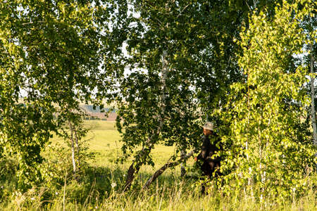 Harvesting birch brooms for the bath on a summer day. Traditions. Health.の写真素材