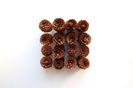 Pine cones square shape composition isolated on white background from a high angle view