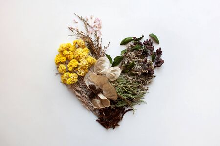 Floral heart composition with preserved plant stems, leaves and flowers isolated on white backgroundの写真素材