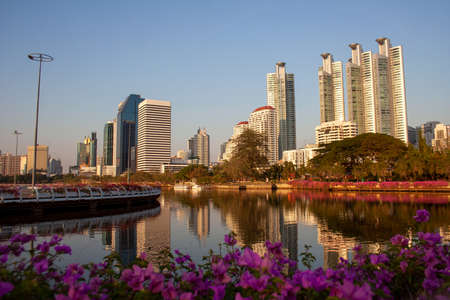 Modern buildings reflections on lake water surface surrounded by bright blossoming flowers
